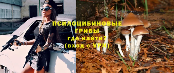 PSILOCYBIN Армянск