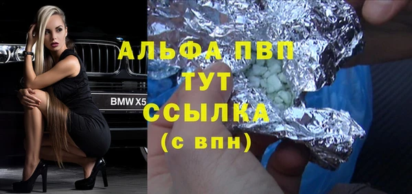 твердый Арсеньев