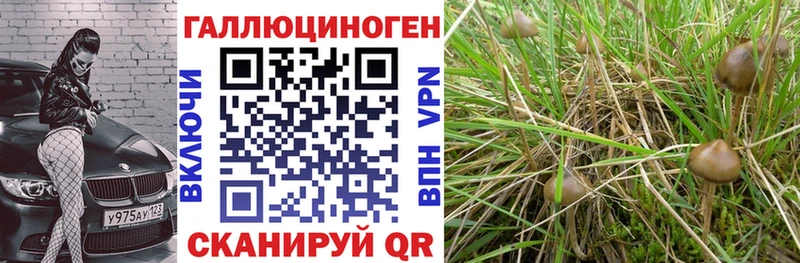 купить наркотик  Покровск  OMG tor  Галлюциногенные грибы ЛСД 